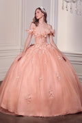 3D Floral Off Shoulder Ball Gown