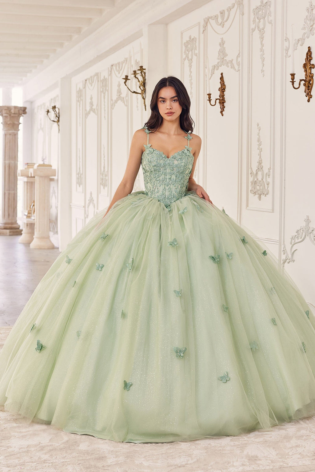 3D Butterfly Applique Sleeveless Ball Gown