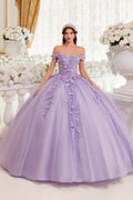 3D Floral Applique Off Shoulder Ball Gown