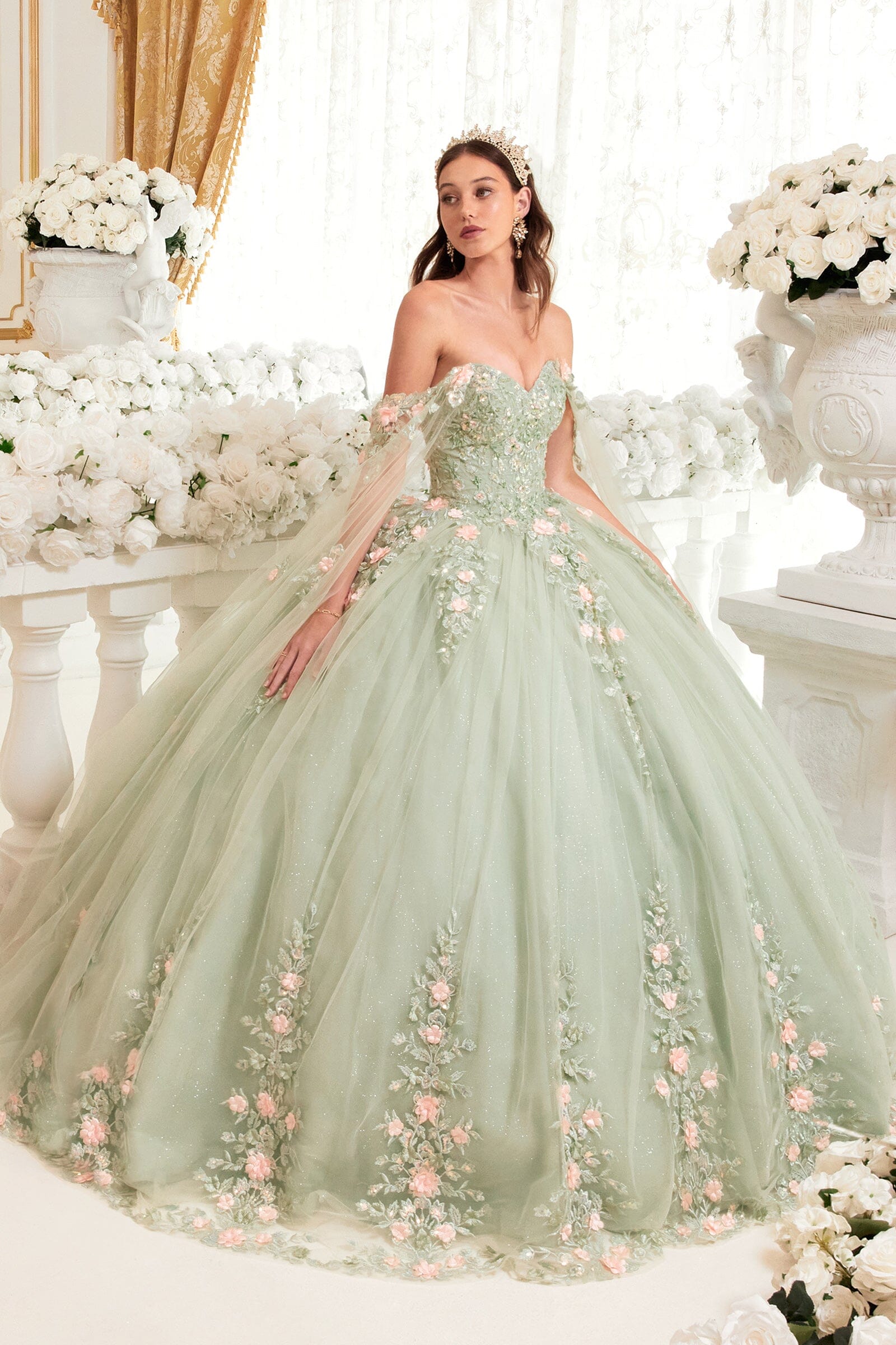 Floral Applique Cape Sleeve Ball Gown