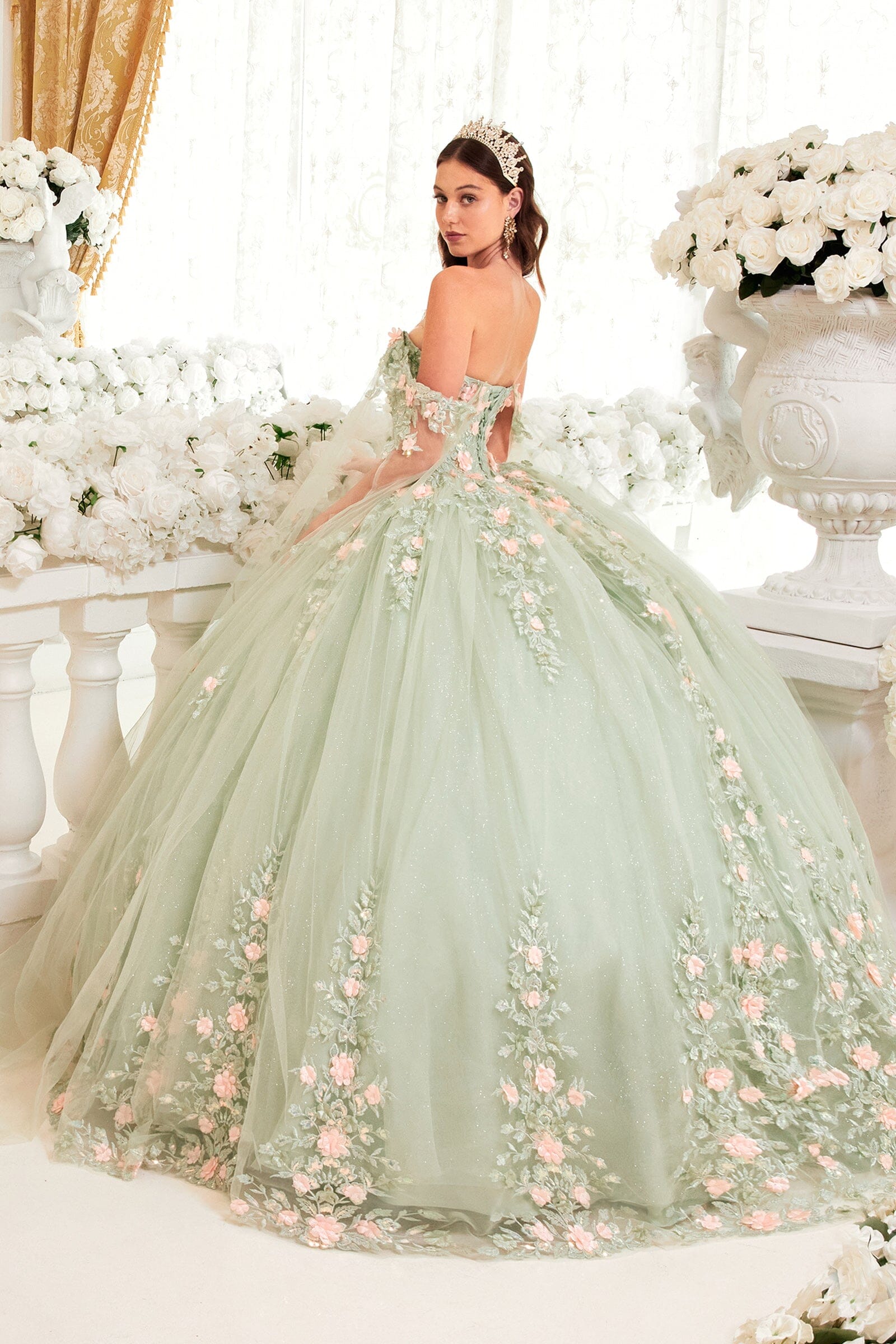 Floral Applique Cape Sleeve Ball Gown