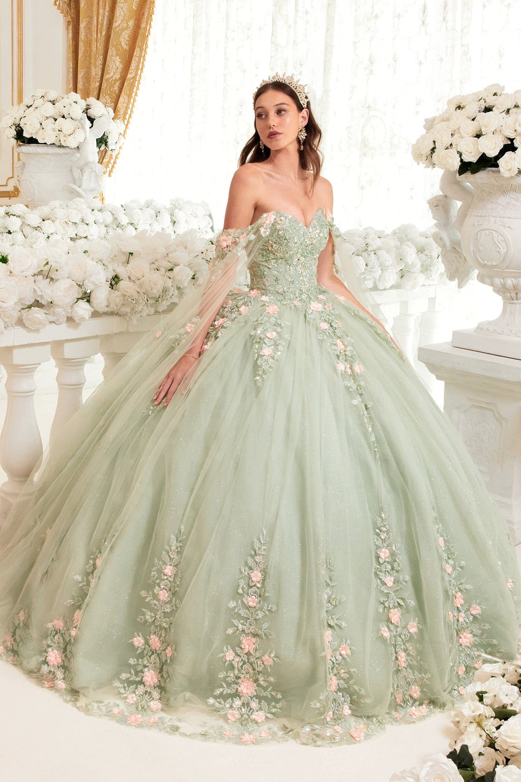 Floral Applique Cape Sleeve Ball Gown