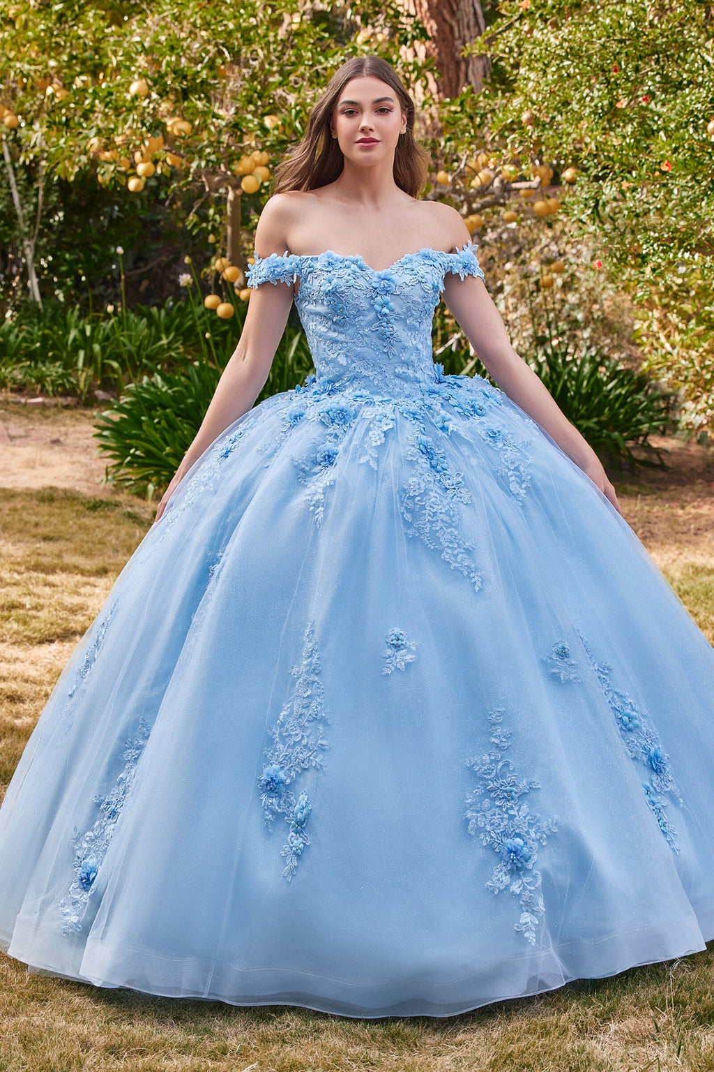 Floral Applique Off Shoulder Ball Gown