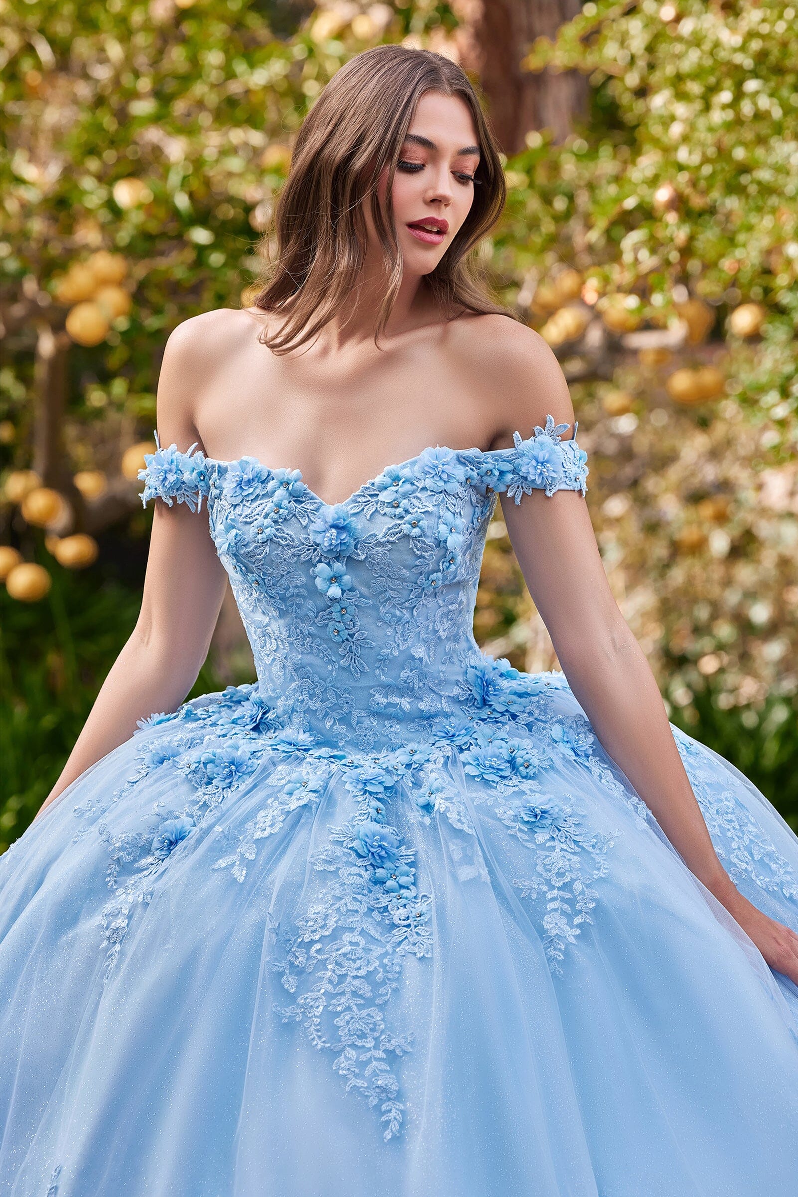 Floral Applique Off Shoulder Ball Gown