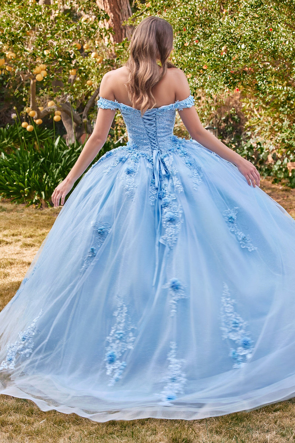 Floral Applique Off Shoulder Ball Gown