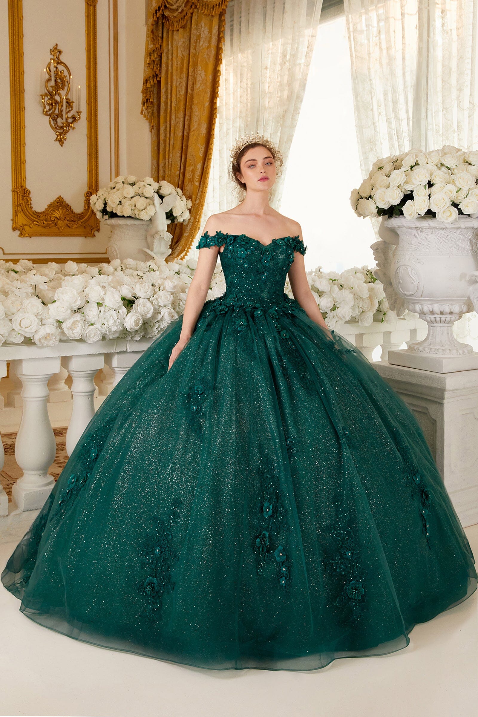 Floral Applique Off Shoulder Ball Gown