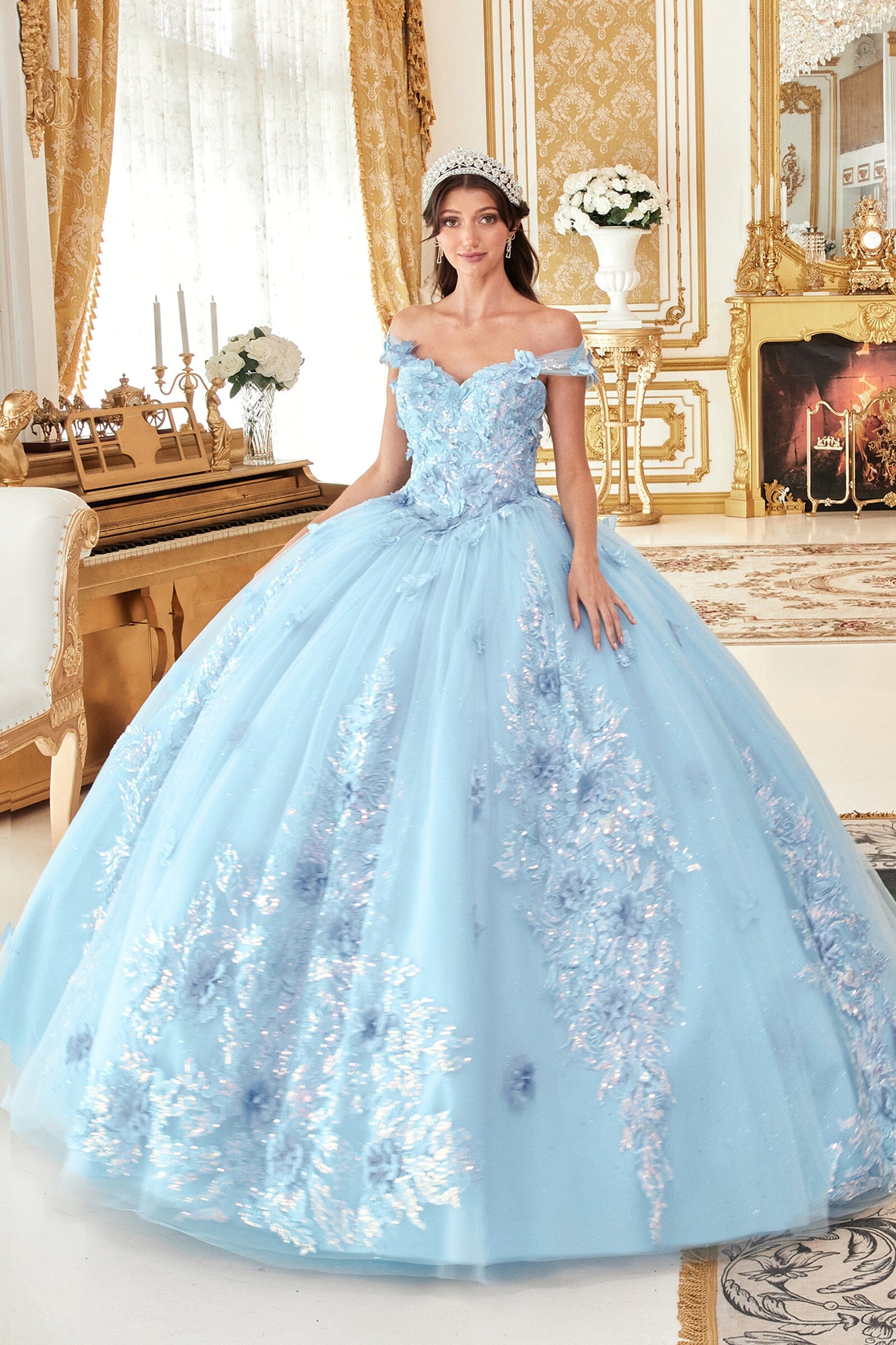 Floral Applique Off Shoulder Ball Gown